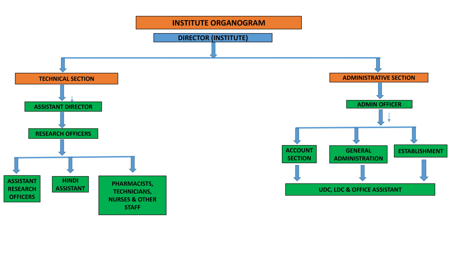 Organization Chart – CCRAS – CARI New Delhi